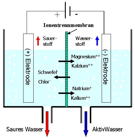 die beiden Ionisierungskammern sind durch eine Membrane, die zwar Ionen, aber kein Wasser durchlässt, getrennt