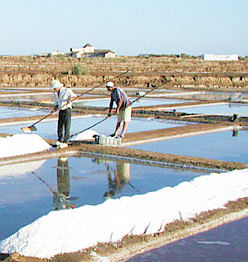Traditionelle Salzgewinnung in Portugal